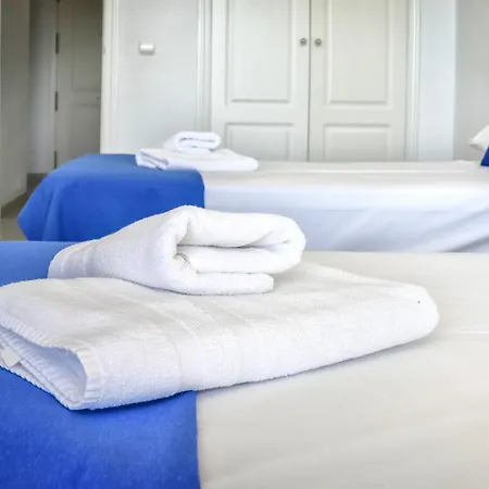 Homeincalpe Apolo Xvi 2-3-14